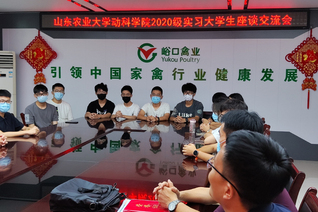 在峪口禽业实习座谈