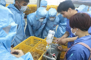 在立华牧业集团实践